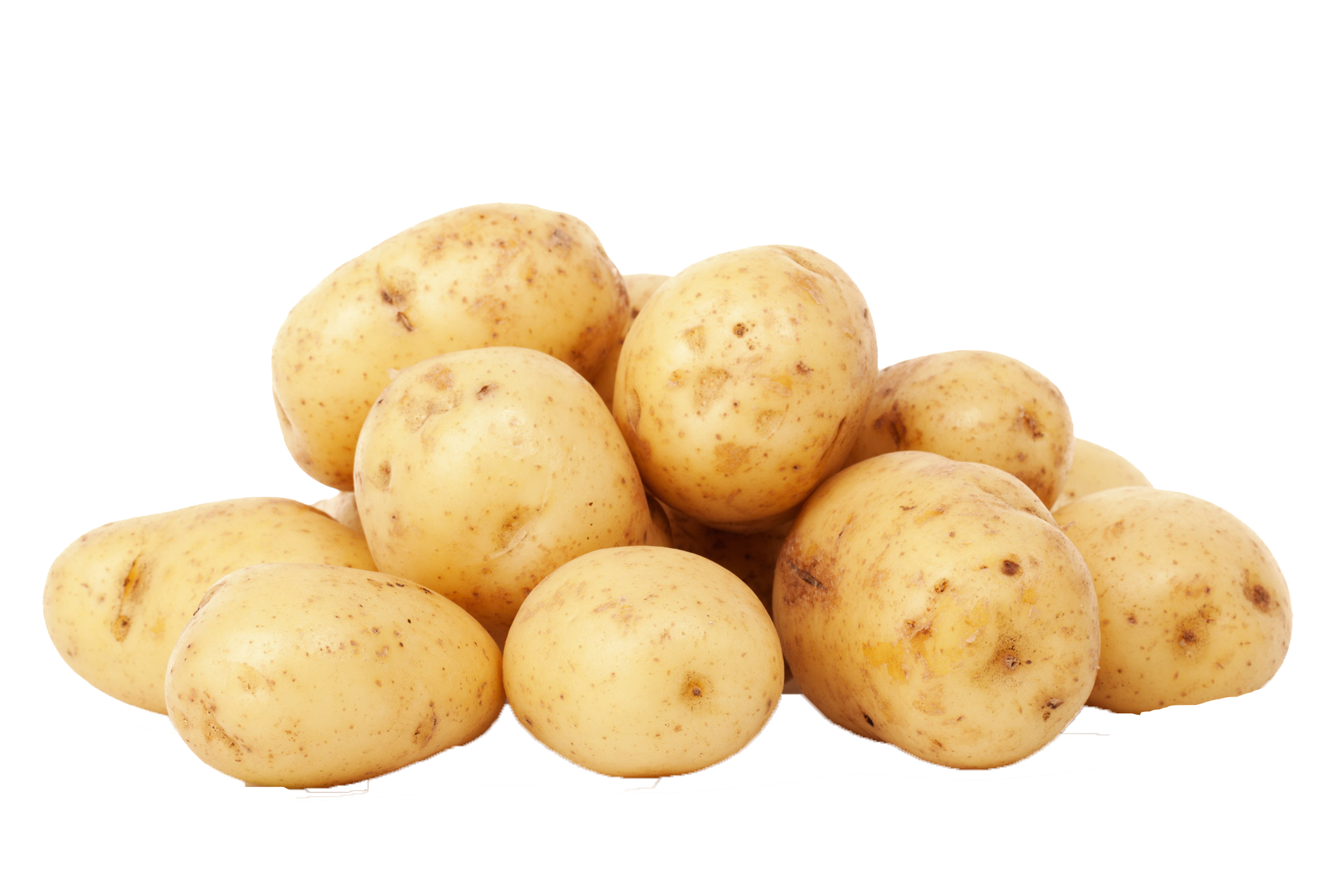 Potato